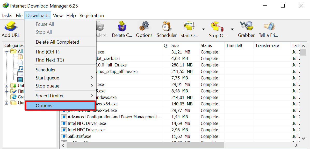 internet download manager