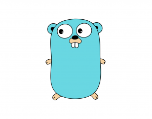 Install Golang Di Ubuntu 18.04
